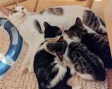 Karina mit Babys